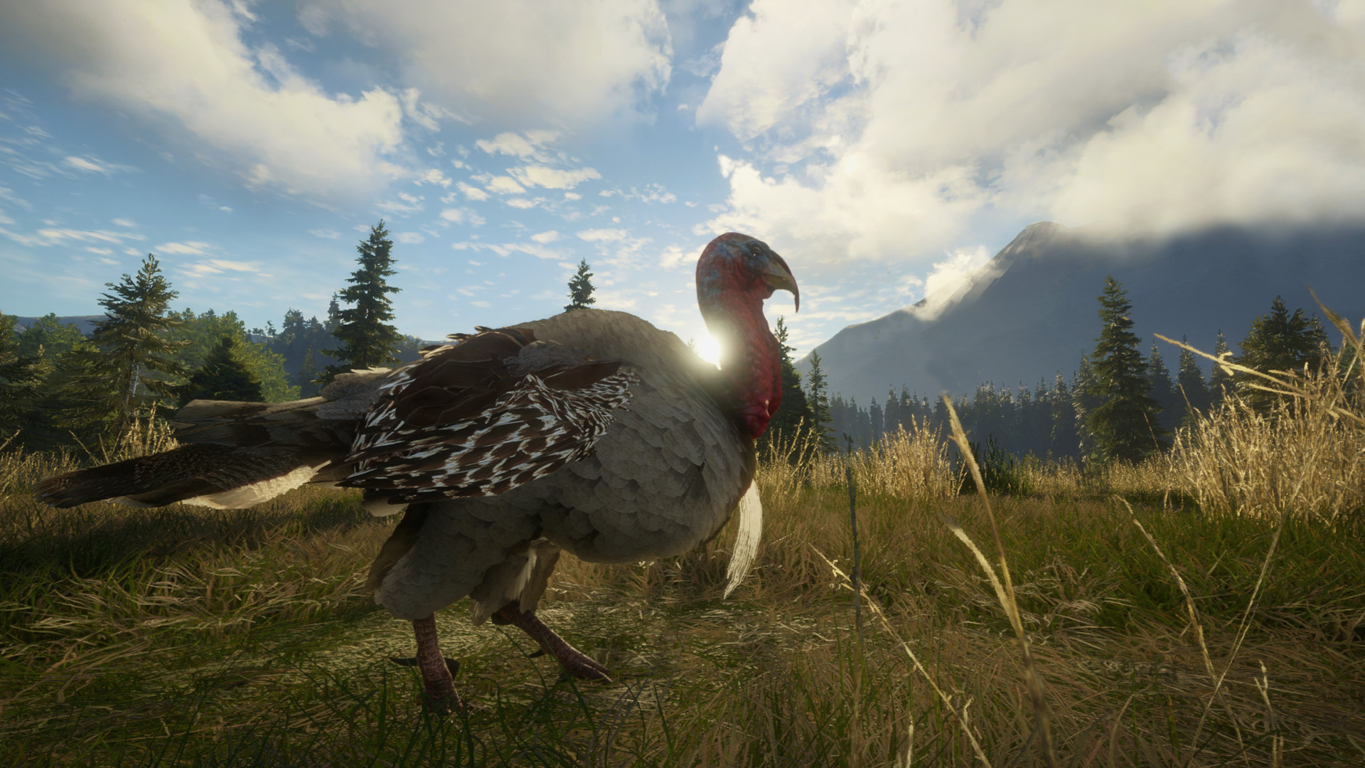 theHunter: Call of the Wild™ - Silver Ridge Peaks