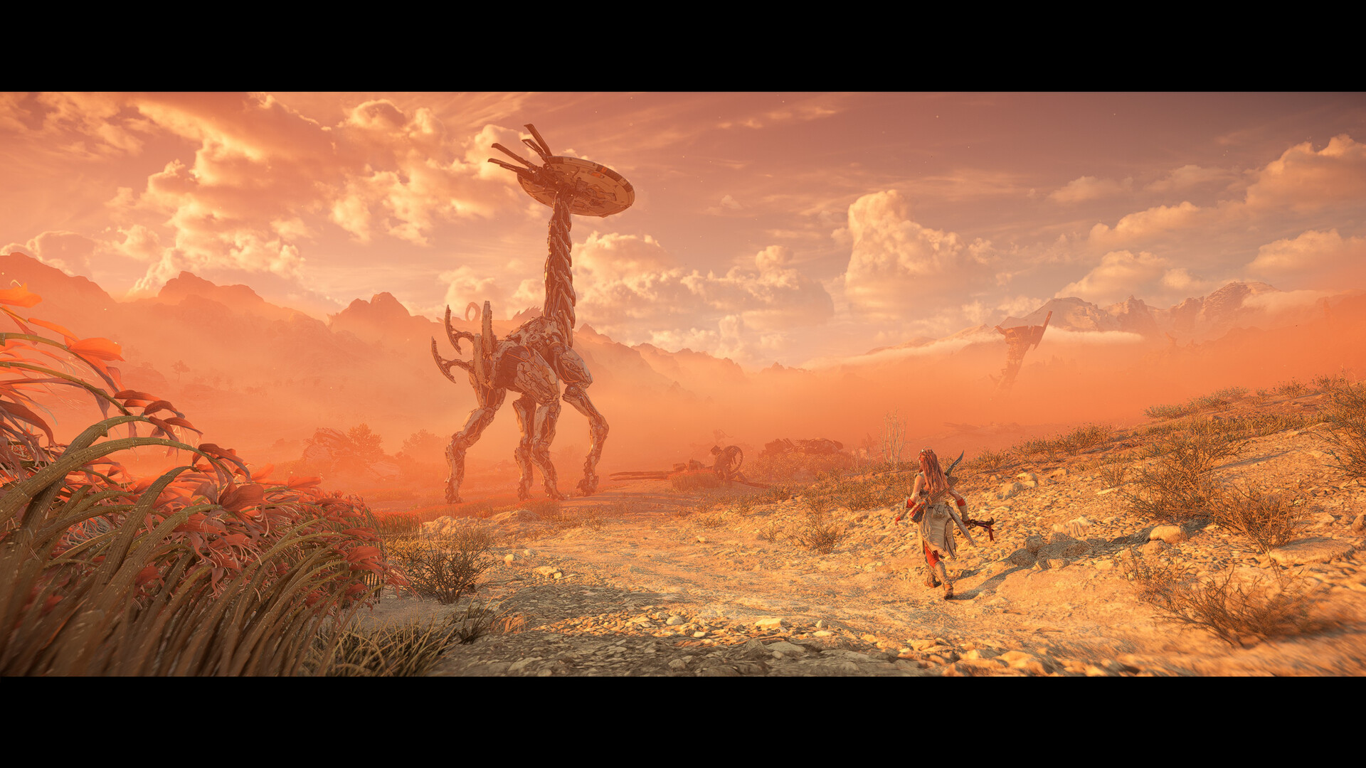 Полное издание «Horizon Запретный Запад»