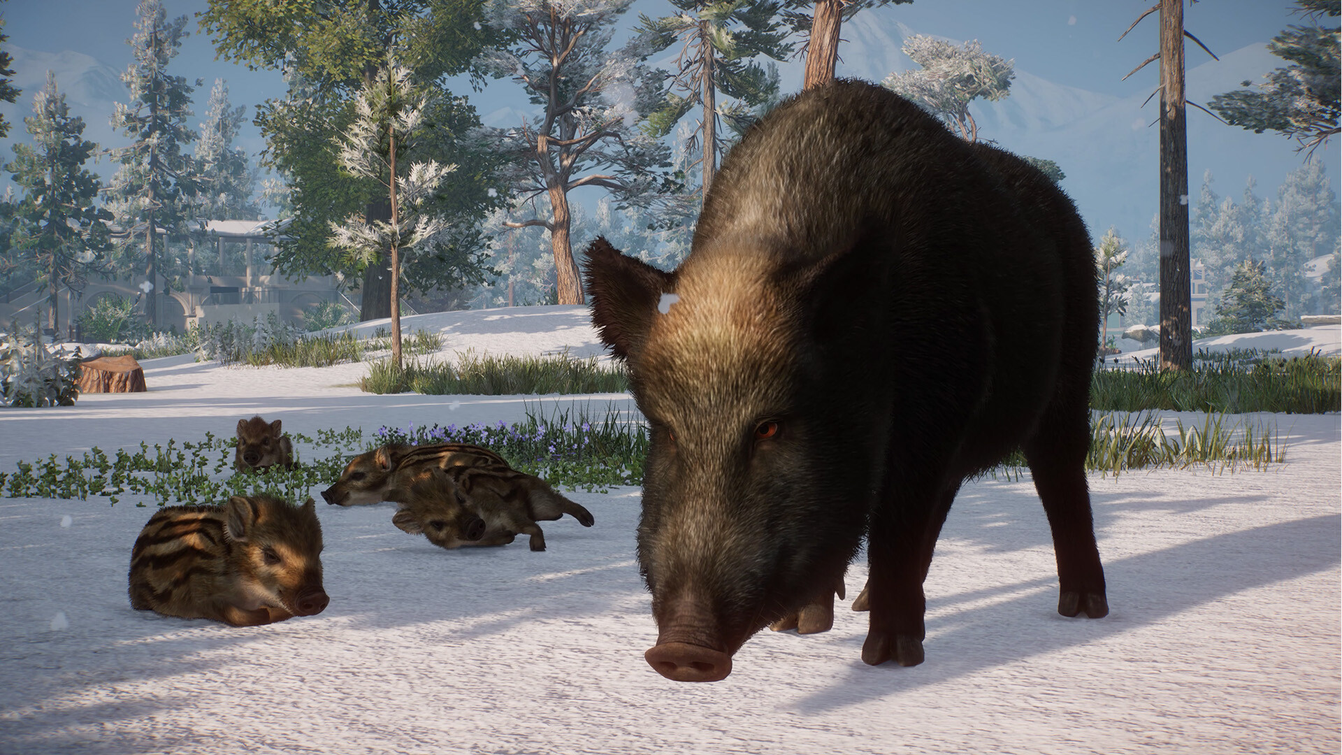 Planet Zoo: Eurasia Animal Pack
