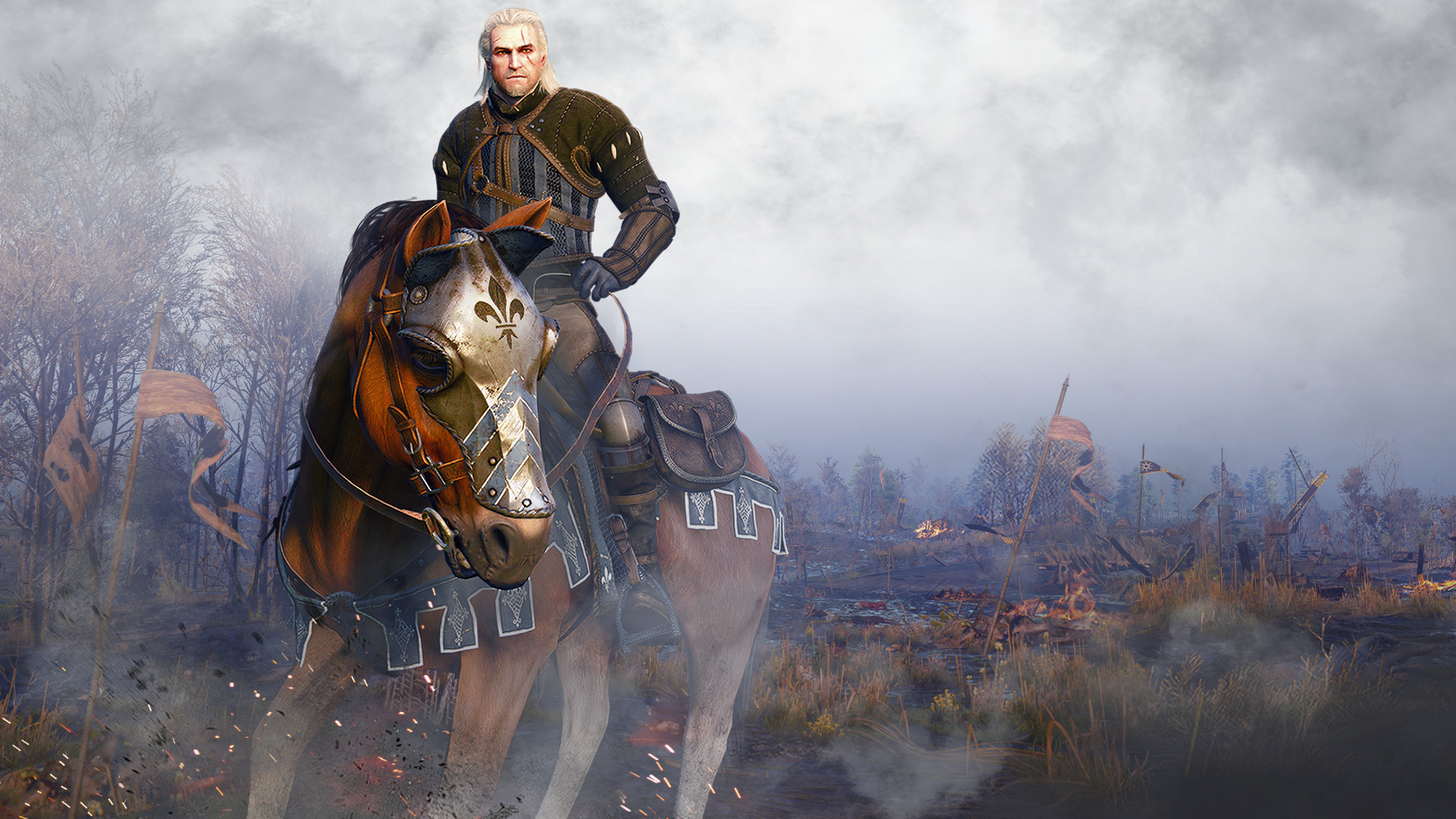 The Witcher 3: Wild Hunt - Temerian Armor Set