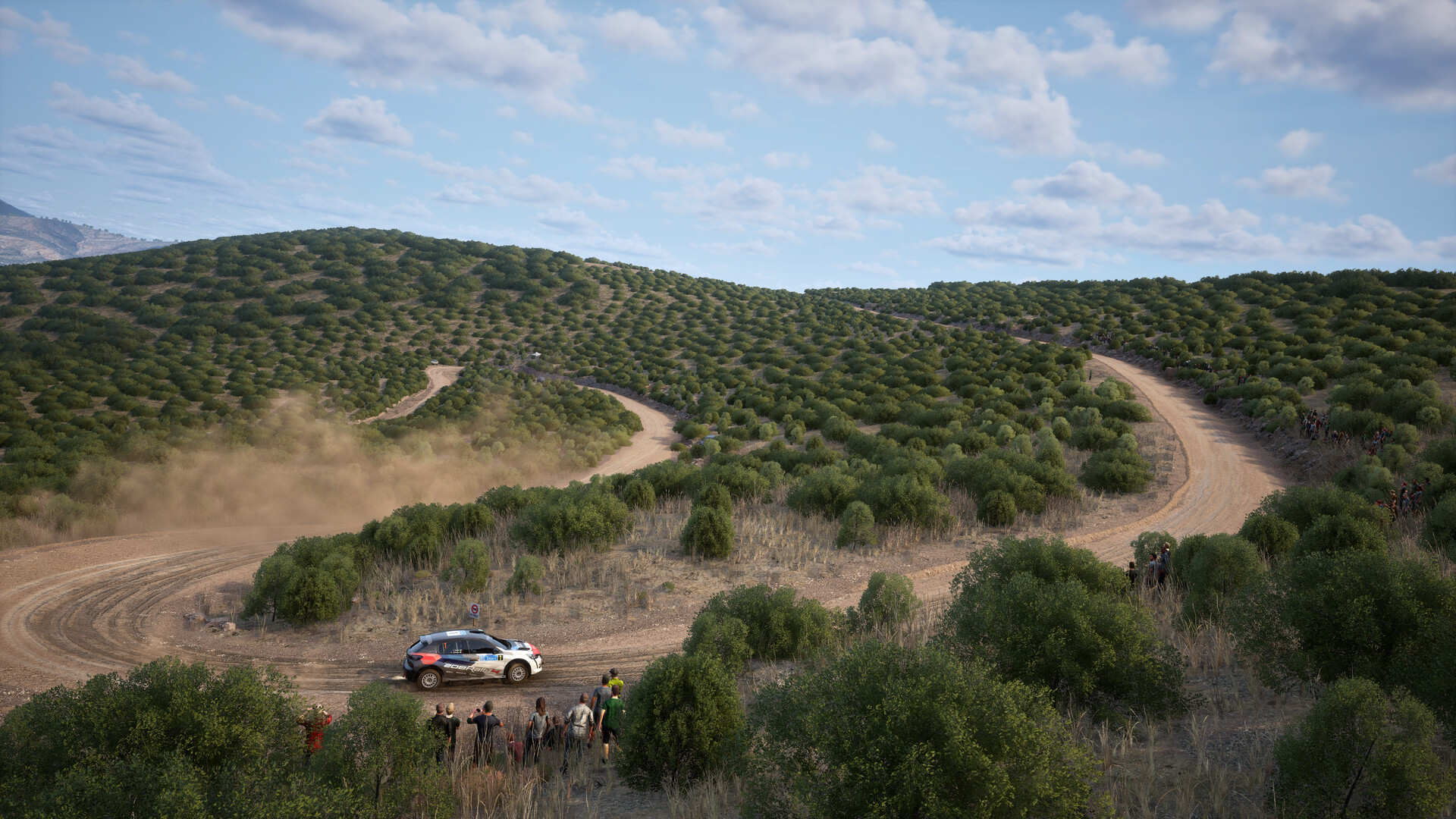 Assetto Corsa Rally