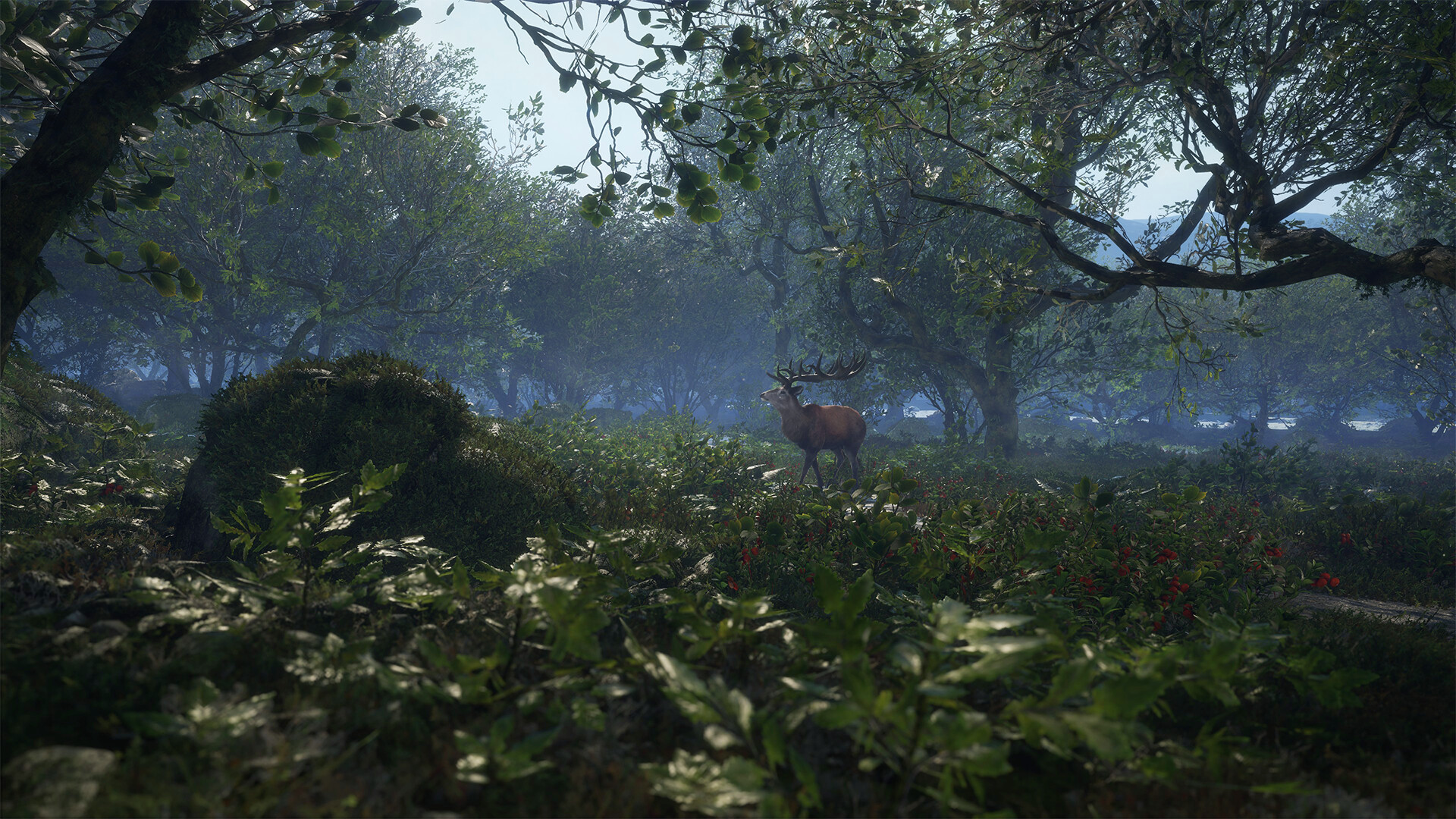 theHunter: Call of the Wild™ - Scotland Hunting Reserve