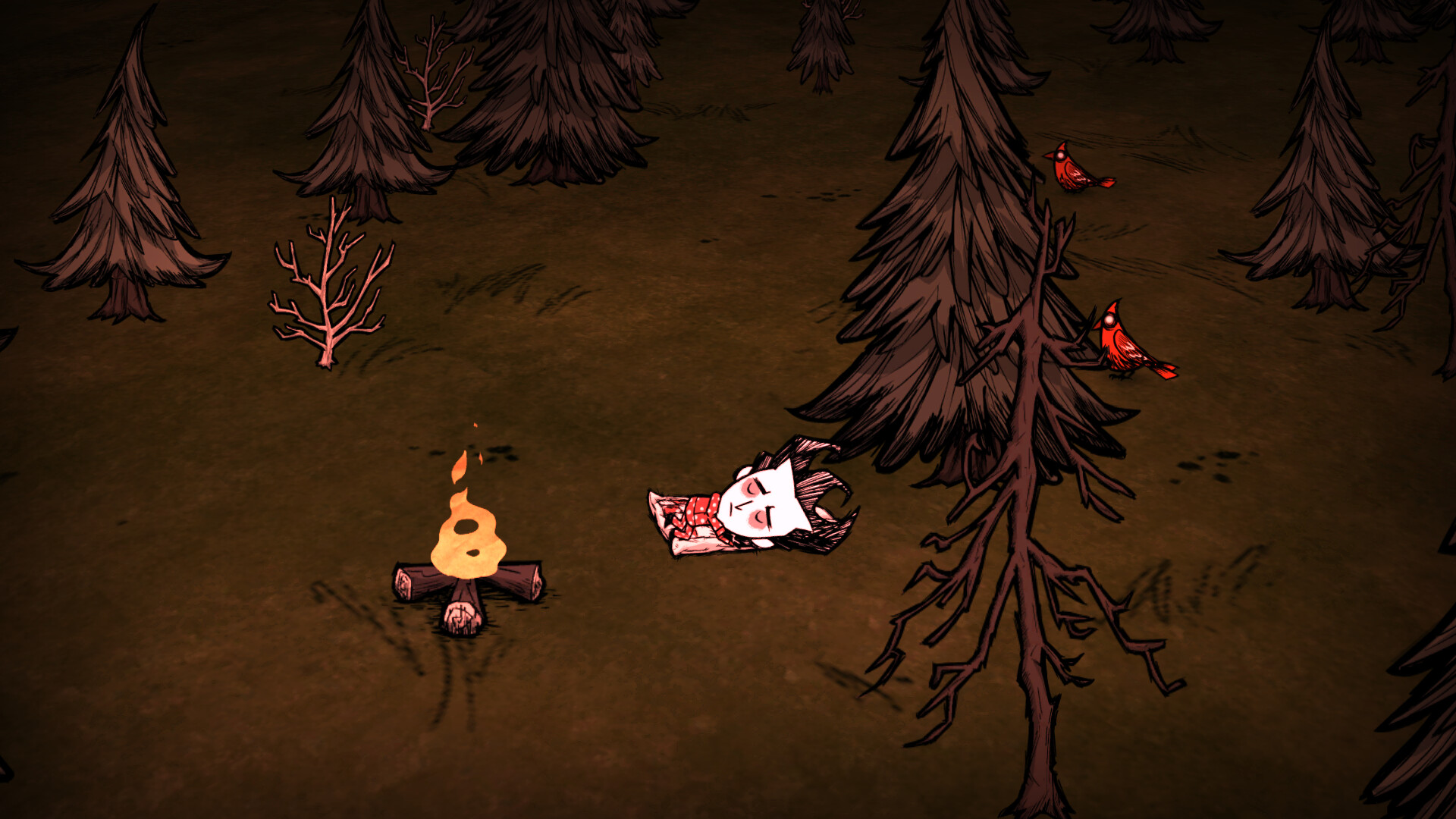Don't Starve Together: Starter Pack 2026