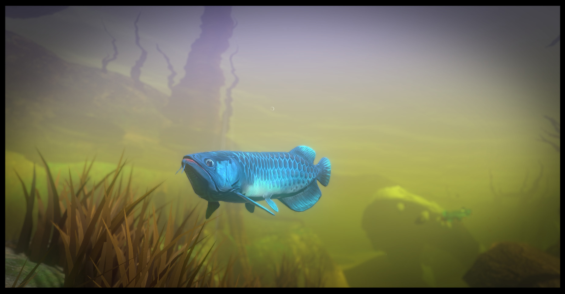 Feed and Grow: Fish