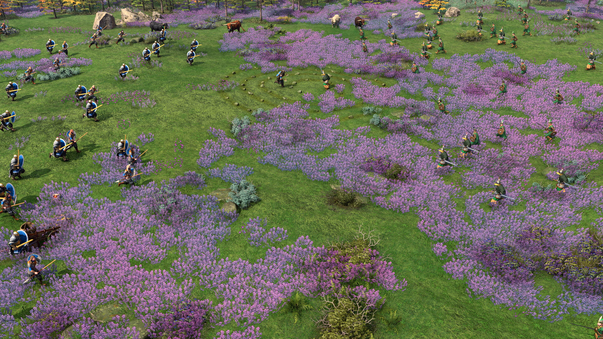 Age of Empires IV: Raiders of the North
