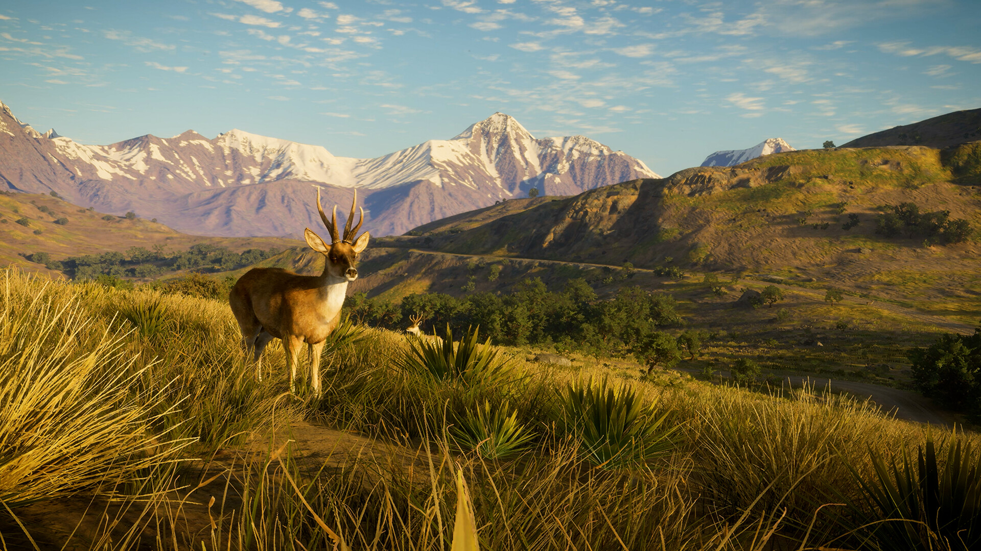 theHunter: Call of the Wild™ - Peru Hunting Reserve