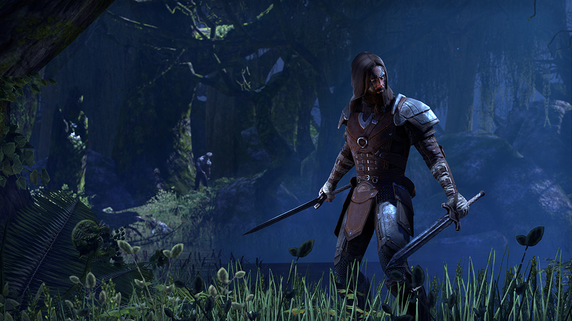 The Elder Scrolls Online: Plus Membership