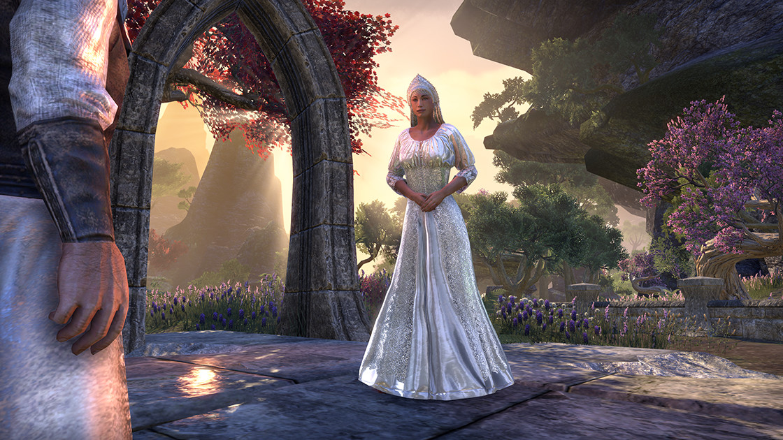 The Elder Scrolls Online - Crown Packs