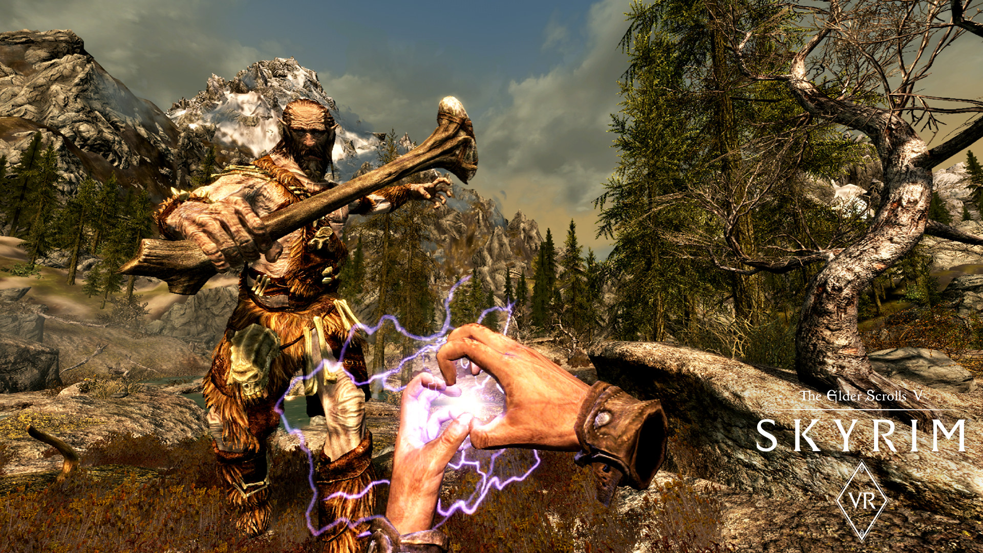 The Elder Scrolls V: Skyrim VR